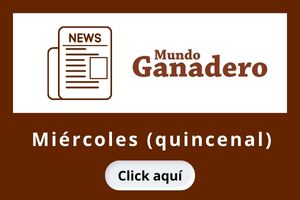 Haga clic aquí para acceder