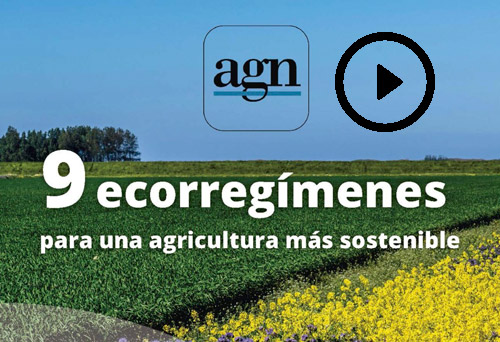Haga clic aquí para acceder