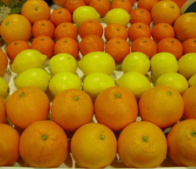 Freshfel predice una producción un 5% menor, que se notará sobre todo en mandarinas