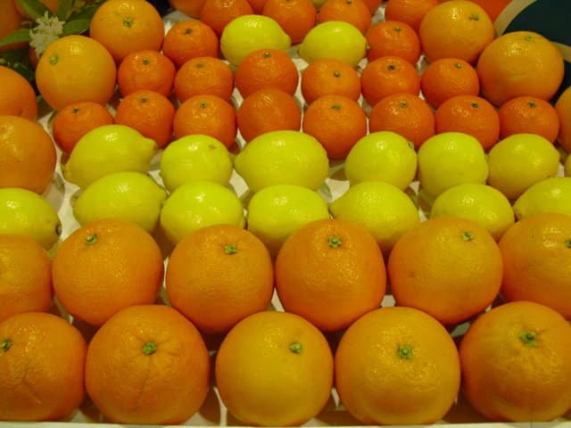 Freshfel predice una producción un 5% menor, que se notará sobre todo en mandarinas