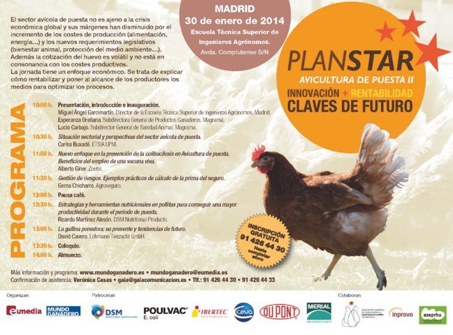 Plan STAR Avicultura de Puesta: claves para remontar un sector dividido