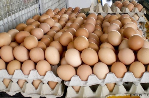 Los productores de huevos piden a la UE mayor protección en el mercado