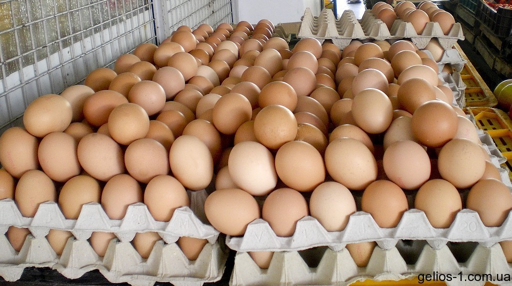 Los productores de huevos piden a la UE mayor protección en el mercado