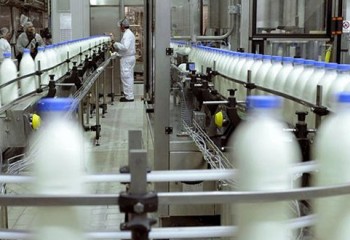 La producción de alimentos y bebidas creció un 3,3% en el primer semestre de 2025