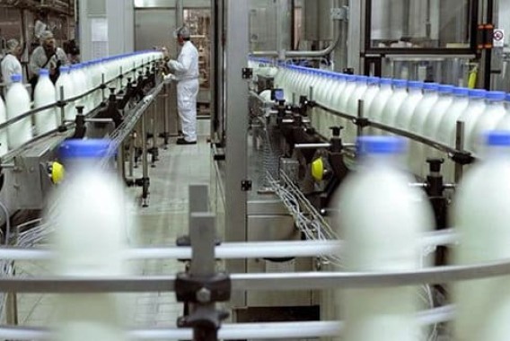 La producción de alimentos y bebidas creció un 3,3% en el primer semestre de 2025