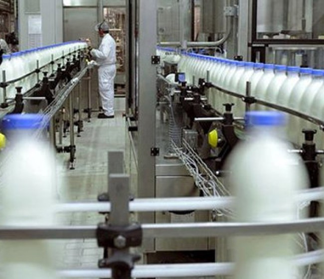 La producción de alimentos y bebidas creció un 3,3% en el primer semestre de 2025