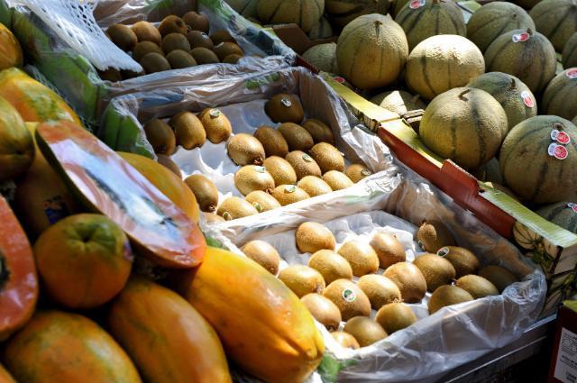 Bruselas autoriza la comercialización de 17 OGM