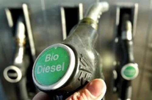 La Eurocámara abre las puertas a los biocarburantes de última generación