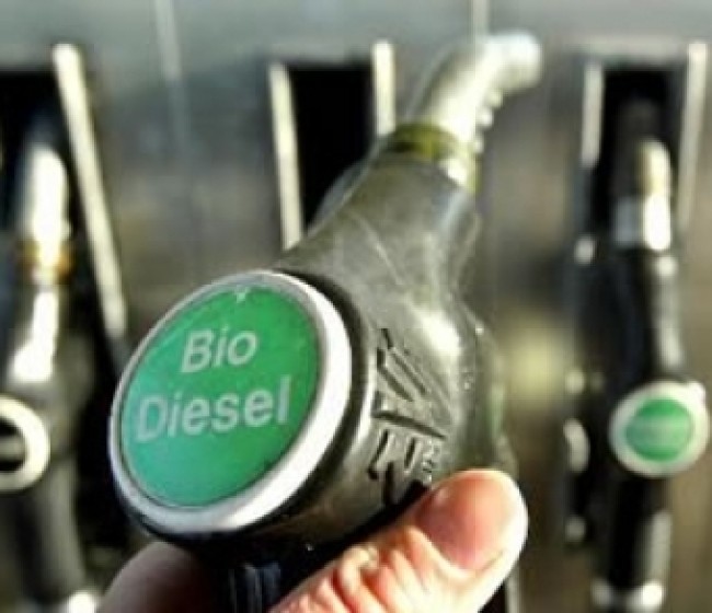 La Eurocámara abre las puertas a los biocarburantes de última generación