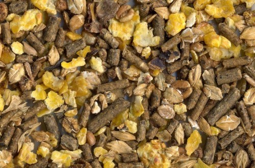 Bruselas renacionaliza la importación y uso de OMGs para alimentos y piensos