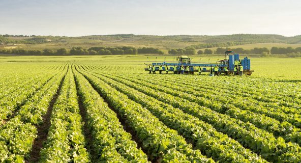 Los seguros agrarios superan los 1.000 millones de euros en primas por primera vez en la historia