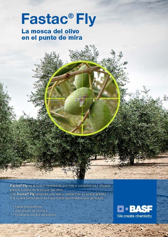 Fastac Fly, el nuevo insecticida de Basf para el control de la mosca del olivo
