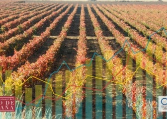 Un año de rigurosa información abierta al sector por el acuerdo OIVE-OeMv