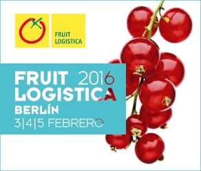 Fruit Logistica estrenará esta edición Logistic Hub