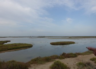 Terres de l´Ebre: Diversidad y contrastes