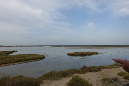 Terres de l´Ebre: Diversidad y contrastes