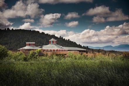 Museos del vino: Cultura, ciencia e historia en un viaje único