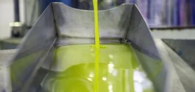 COAG Andalucía prevé una menor cosecha de aceite de oliva por el calor y las plagas