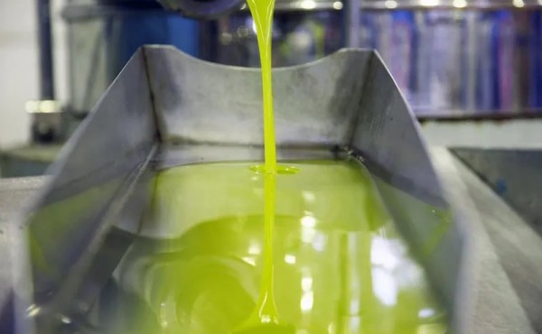 Cooperativas Agro-alimentarias de Castilla-La Mancha prevé cosechar 120.000 toneladas de aceite, 17% menos