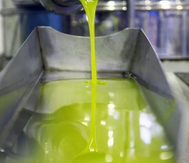 UPA cifra en 270 millones las pérdidas en marzo por «precios de ruina» del aceite de oliva