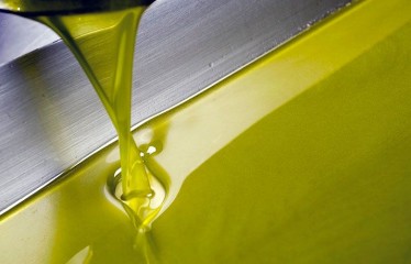 El Gobierno autoriza cambios para una mayor transparencia en el mercado oleícola