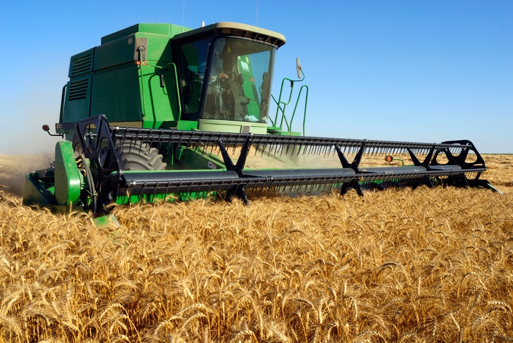 El comercio prevé 14,9 Mt de cosecha de cereales de otoño-invierno en 2014/15