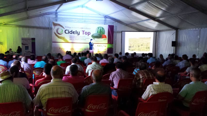 Syngenta presenta Cidely Top, la solución más eficaz contra oídio y otras enfermedades del melón