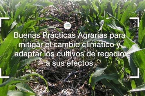 XXXII Jornada de Cultivos Herbáceos de ASAJA-Sevilla