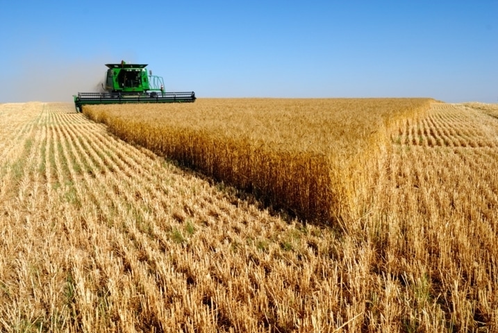 Aemet lanza un boletín de predicción de la cosecha de cereales en Castilla y León