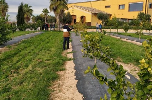 La Finca Sinyent acoge el lunes la II Jornada sobre bioestimulación y nutrición de los cítricos
