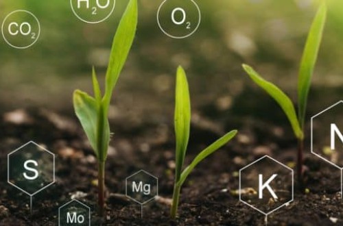 El Consejo de la UE adopta el Reglamento de etiquetado digital de los productos fertilizantes