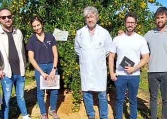 Prueba de campo del primer biocarbón de restos de poda de cítricos