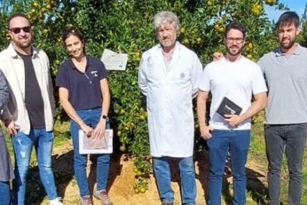 Prueba de campo del primer biocarbón de restos de poda de cítricos