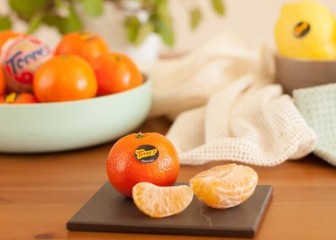 Las naranjas y mandarinas Torres, Sabor del Año 2023