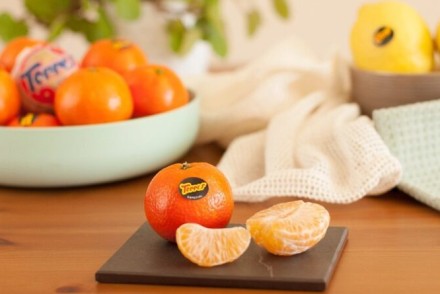 Las naranjas y mandarinas Torres, Sabor del Año 2023