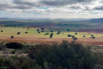 Gestión forestal y agricultura se unen en NavaLab