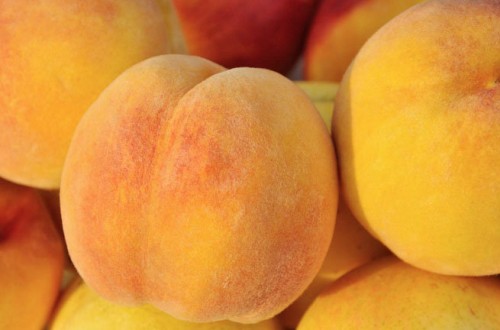 Fusión de las AOPs de nectarina-melocotón y albaricoque en Francia