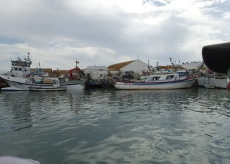 Huelva gastronómica, del mar a la sierra