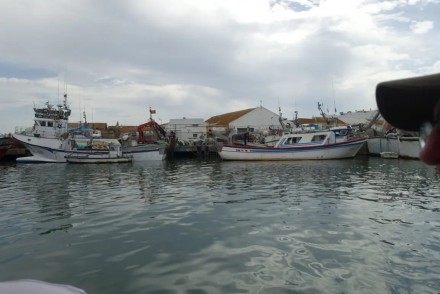Huelva gastronómica, del mar a la sierra