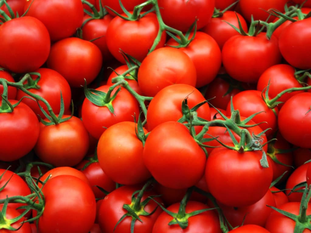 FEPEX pide medidas eficaces de control de las importaciones de tomate de Marruecos