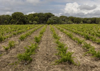 Las Moradas de San Martín