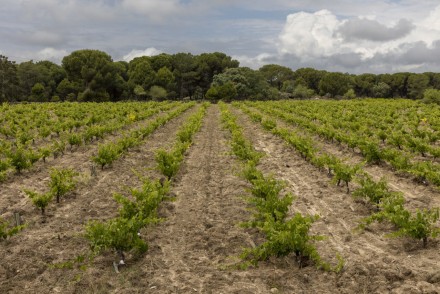Las Moradas de San Martín