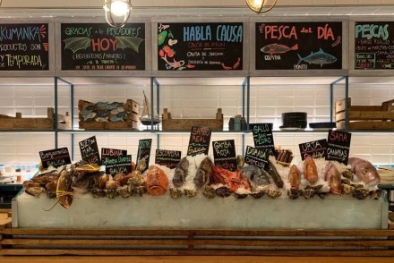 Espacio Epicúreo de otoño