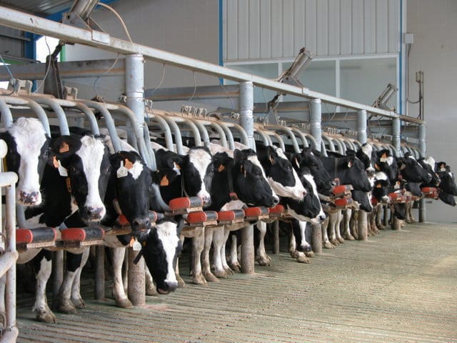 Lácteo: Agricultura pide a la CNMC que se pronuncie sobre la legalidad del acuerdo en Francia