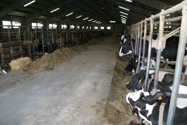 Convocadas subvenciones para facilitar el acceso a la financiación de explotaciones lácteas