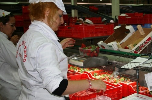 El Senado envía al BOE la Ley que unifica el control de la calidad alimentaria en todo el Estado