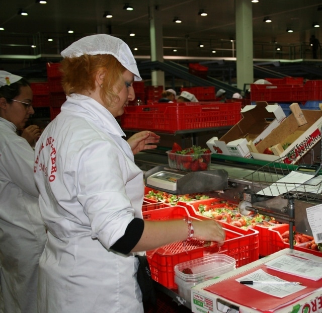 El Senado envía al BOE la Ley que unifica el control de la calidad alimentaria en todo el Estado