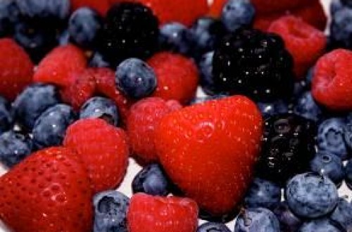 Jornada sobre producción de pequeños frutos en alta montaña