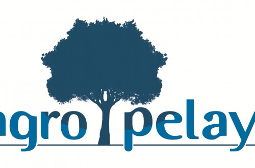 Las Asambleas de Agromutua y Pelayo ratifican la integración de sus negocios agrarios en Agropelayo