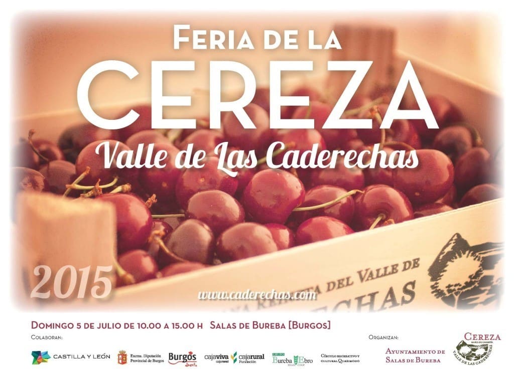 Feria de la Cereza del Valle de las Caderechas 2015